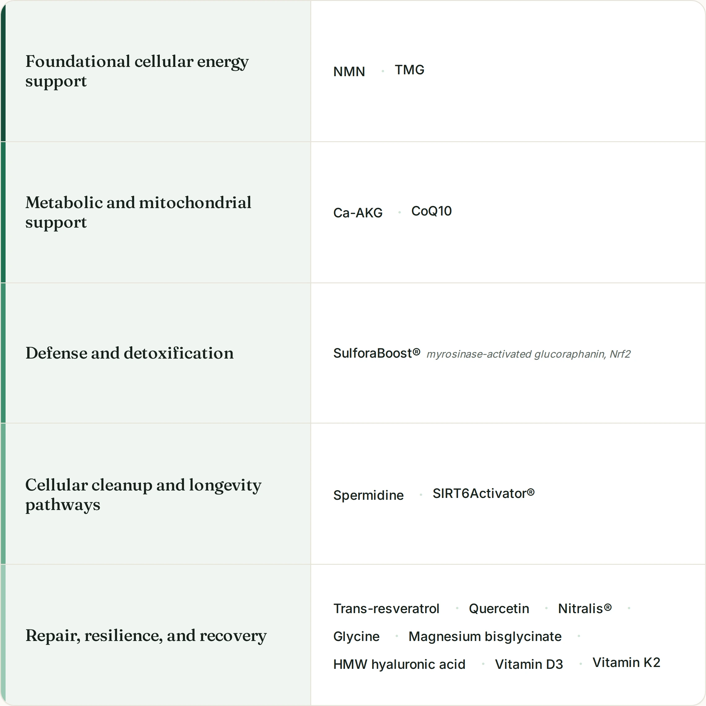 The DoNotAge® 15-in-1 ingredients grouped by job: foundational cellular energy, metabolic and mitochondrial support, defense and detoxification, cellular cleanup and longevity pathways, and repair, resilience and recovery